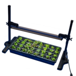 29. Grow Light and Lettuce Starters copy (1)