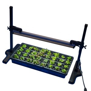 Germination Package for Hydroponic Garden