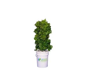 Mini Hydroponic Tower - Indoor Grow Tower - 20 Plants