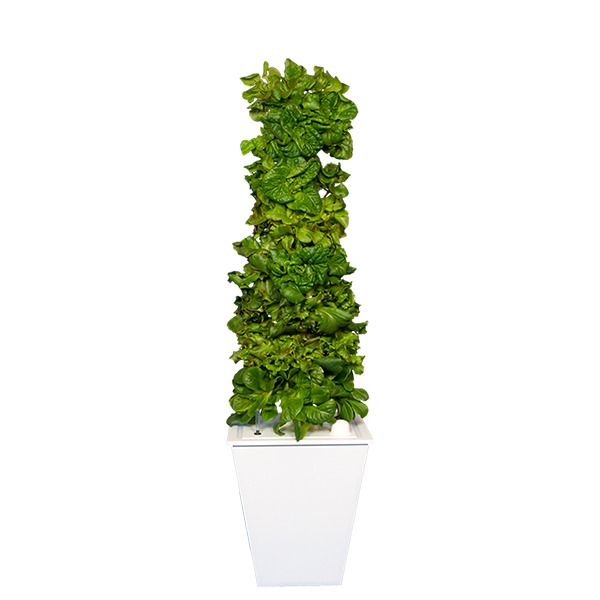 White Single-Tower Hydroponic Tower Garden
