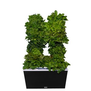 Black Two-Tower Hydroponic Tower Garden