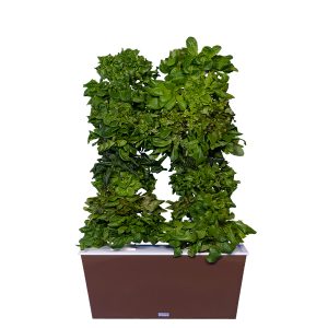 Brown Two-Tower Hydroponic Tower Garden