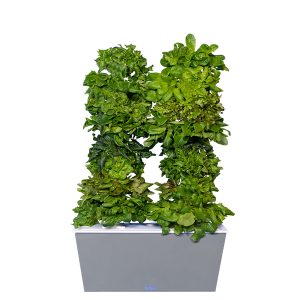 Grey Two-Tower Hydroponic Tower Garden