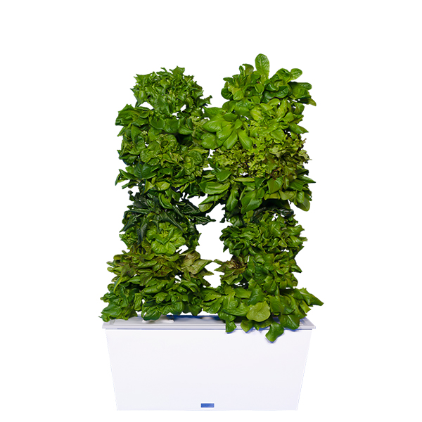 White Two-Tower Hydroponic Tower Garden