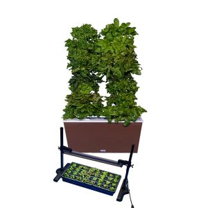 two tower hydroponic garden tower