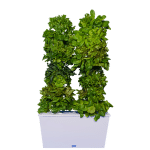 hydroponic greens tower