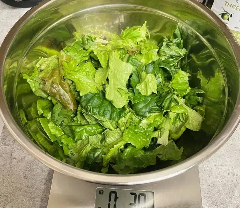LifePonic Greens vs Store Bought Organic Greens