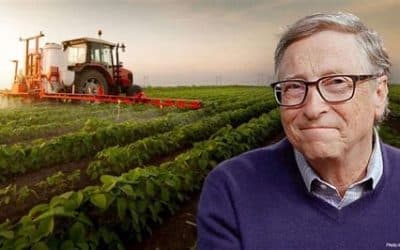 Why Is Bill Gates Buying 275,000 Acres of Farmland?