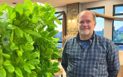 Grow Your Own Nutritious Greens at Home