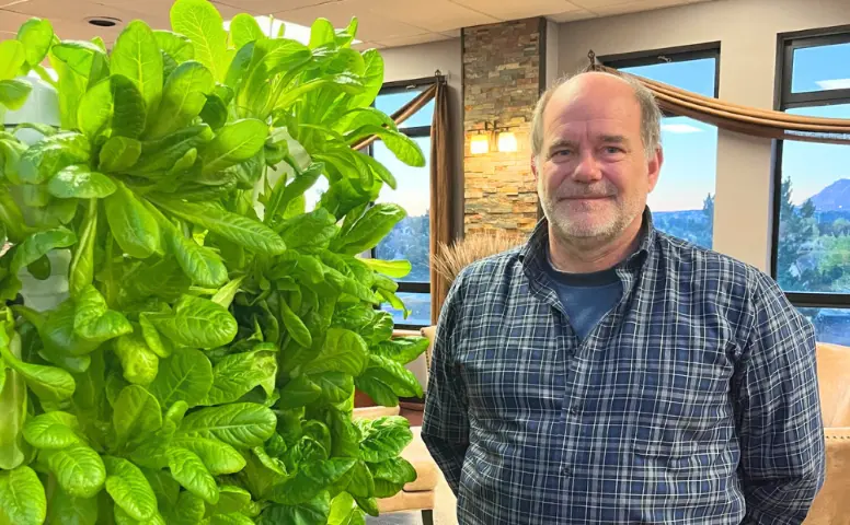 Grow Your Own Nutritious Greens at Home