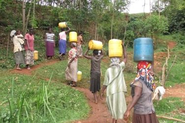 Project Feed Kenya