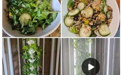 Let’s Celebrate Together! Check out this testimony and video of a LifePonic member’s first harvest!