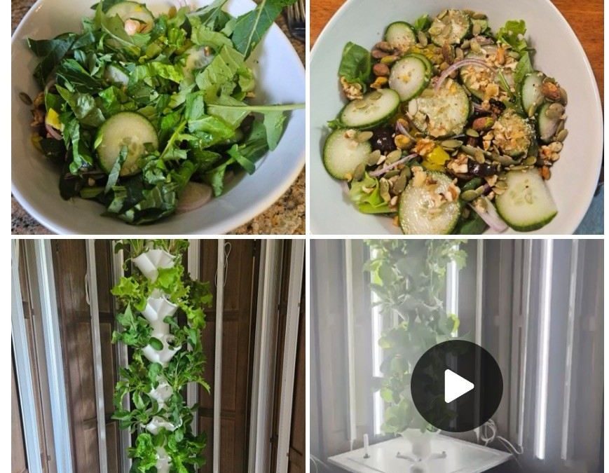 Let’s Celebrate Together! Check out this testimony and video of a LifePonic member’s first harvest!
