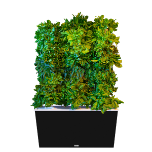 Black Four-Tower Hydroponic Tower Garden