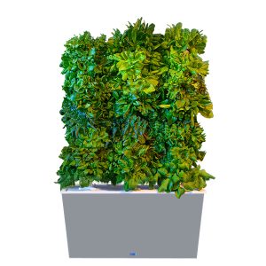 Grey Four-Tower Hydroponic Tower Garden