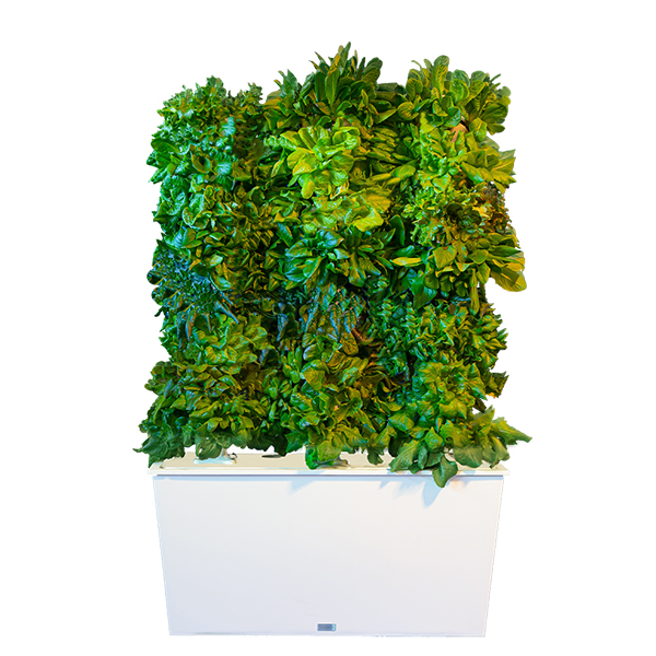 White Four-Tower Hydroponic Tower Garden