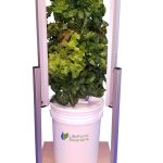 Mini-Tower Solution with Square Lighting Configuration