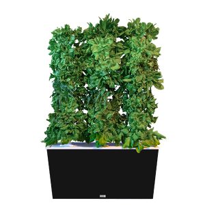 Black Three-Tower Hydroponic Tower Garden