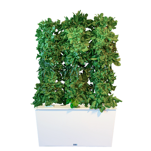 White Three-Tower Hydroponic Tower Garden